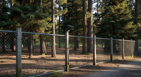 Campground perimeter fence line with trees and a security camera mounted on a post