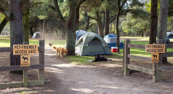 Campground pet-friendly area with designated access gates and clear signage
